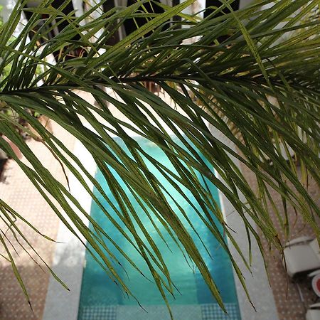 Riad Assouel Марракеш Экстерьер фото